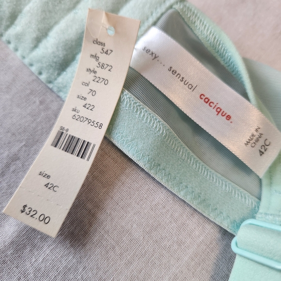 SOLD - Cacique Sexy Sensual NWT Unlined Underwire Bra 42C Blue Green Floral - Picture 4 of 5